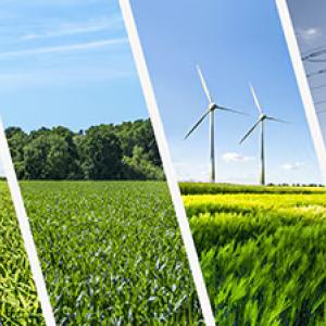 Collage of four images of solar panels, greenery, wind turbines, and power lines.