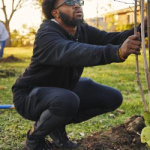People planting trees outdoors.