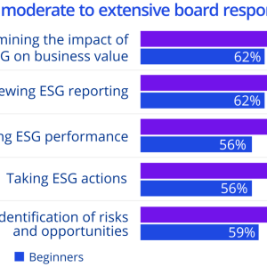 Chart: Areas of moderate to extensive board responsibility