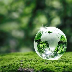 Green globe representing Earth on a field of green.