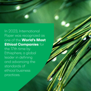 Close up of pine needles. "In 2023 International Paper was recognized as one of the World's Most Ethical Companies."
