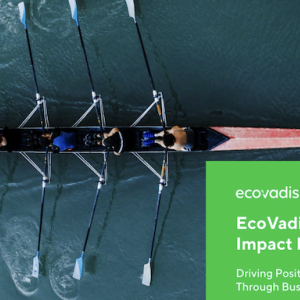 EcoVadis: Network Impact Report 2022; Driving Positive Change through business sustainability. Image of a 4 man scull crew.