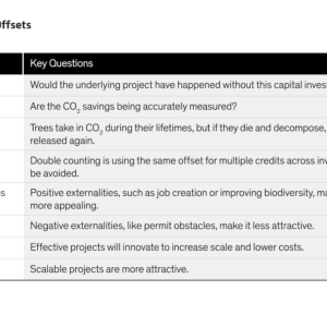 info graphic Evaluating Carbon Offsets: Factors and key questions