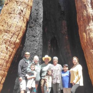 Robert and his family under a tall tree