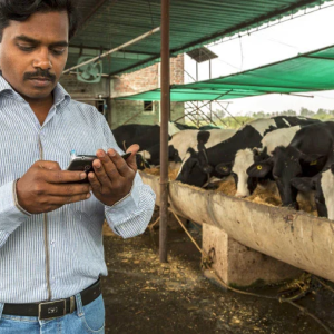 Person uses smart phone on farm