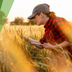 a person inspecting crops, a device in their left hand. Bayer logo in the corner.