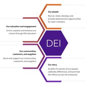 dei infographic