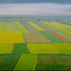 fields, shown from far above
