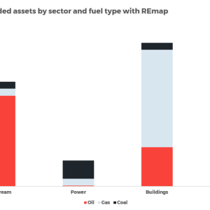 Standed assets by sector and fuel type with REmap