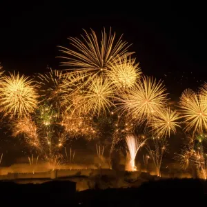 Golden fireworks against a dark sky.