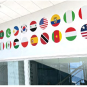 Circular cropped flags above a doorway