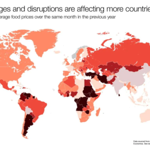 World Map titled "Food shortages and disruptions are affecting more countries than ever, annual change in average food prices over the same month in the previous year"