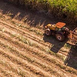 crop being harvested