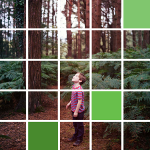Child in a forest