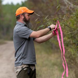  Foresters use bright tape, signage and mapping systems to mark boundaries around vulnerable species’ habitats.