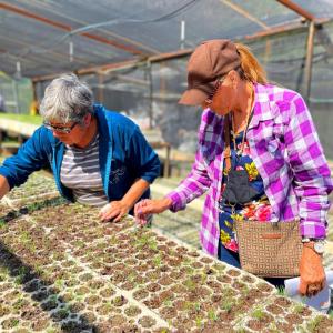 People planting seeds in small pots in a greenhouse.