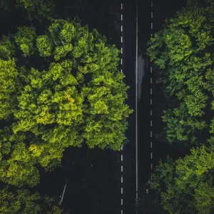 Aerial view of a paved road through a dense forested area