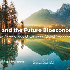 "Forests and the Future Bioeconomy"