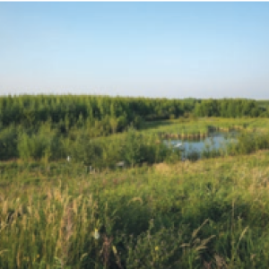 Open landscape of grasslands and a pond.