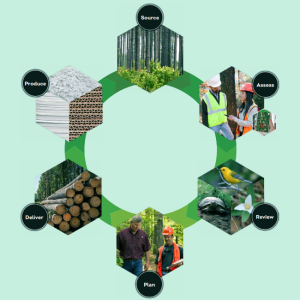 Info graphic circle with different photos for categories: Source, Assess, Review, Plan, Deliver, Produce
