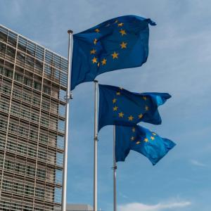 EU flags