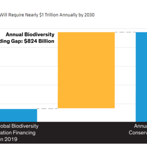 Mind the Funding Gap Reversing Global Biodiversity Loss Will Require Nearly $1 Trillion Annually by 2030