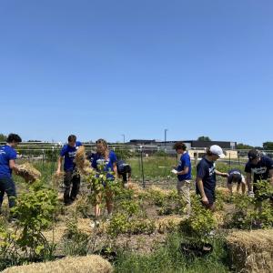 Volunteers in the garden