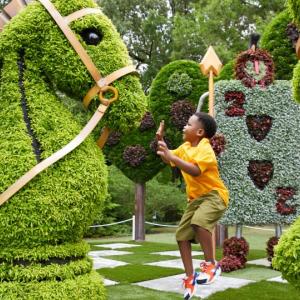 A child playing in a garden with chess piece shaped hedges.