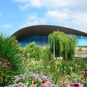 garden in front of a rink