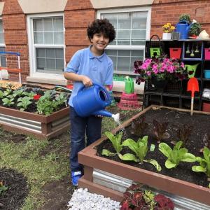 A smiling child watering plants in a raised garden bed.