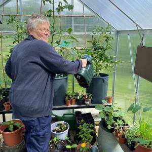 A person gardening in a greenhouse.