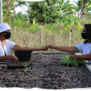 two people reaching to each other over a raised garden plot