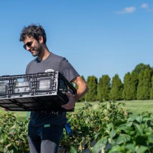 A person holding a black plastic crate in a garden.