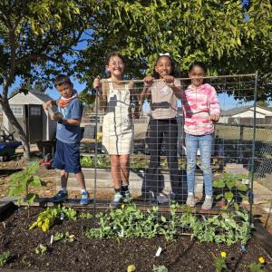 group of children gardening