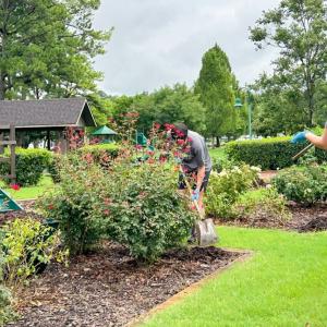 A group of volunteers working in a garden.