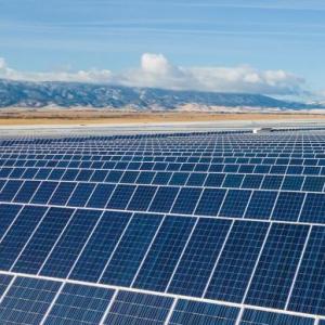A vast open area filled with rows of solar panels.
