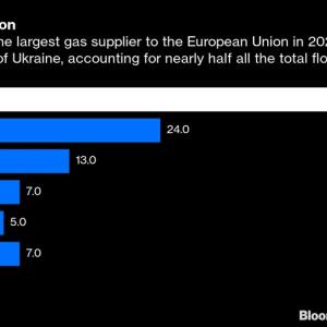 Info graphic "Gas Champion" bar graph of gas suppliers to the EU in 2021. Top six countries and their percentages.