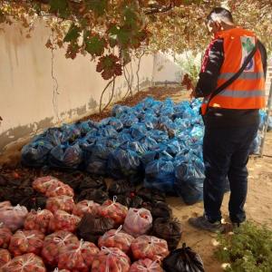 Action Against Hunger is working to provide fresh fruit and vegetables to families in Gaza.