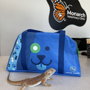 A lizard next to a Fifth Third bag