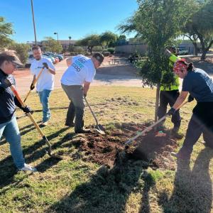 volunteers on GivingTuesday
