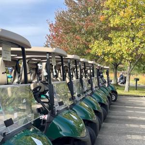 A row of parked green golf carts outside.