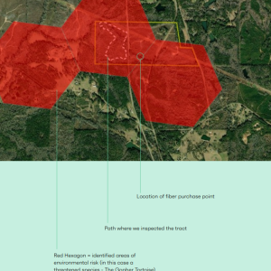 Aerial map with red shapes over a portion of land, with areas marked on interest.