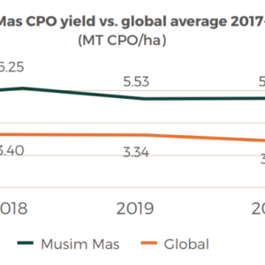 Graph: Musim Mas CPO yield vs. global average 2017-2021