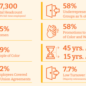 Illustration of Demographics and Transparency numbers