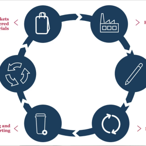Circular economy graphic