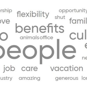 Words that employees used to describe Elanco as a great place to work