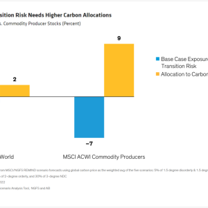 Info graph bar chart "Greater Transition Risk Needs Higher Carbon Allocations Global Stocks vs. Commodity Producer Stocks (Percent)"
