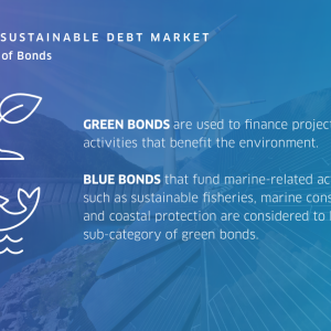 Info graphic "Nasdaq sustainable deb market" four types of Bonds: Green bonds and Blue bonds and a sketch of a plant and a fish