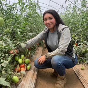 A smiling person crouched next to tomato plants in a greenhouse.