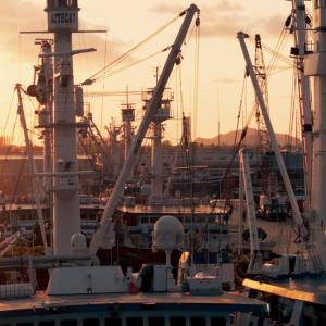 Aerial view of a fishing operation and sun setting in the distance.